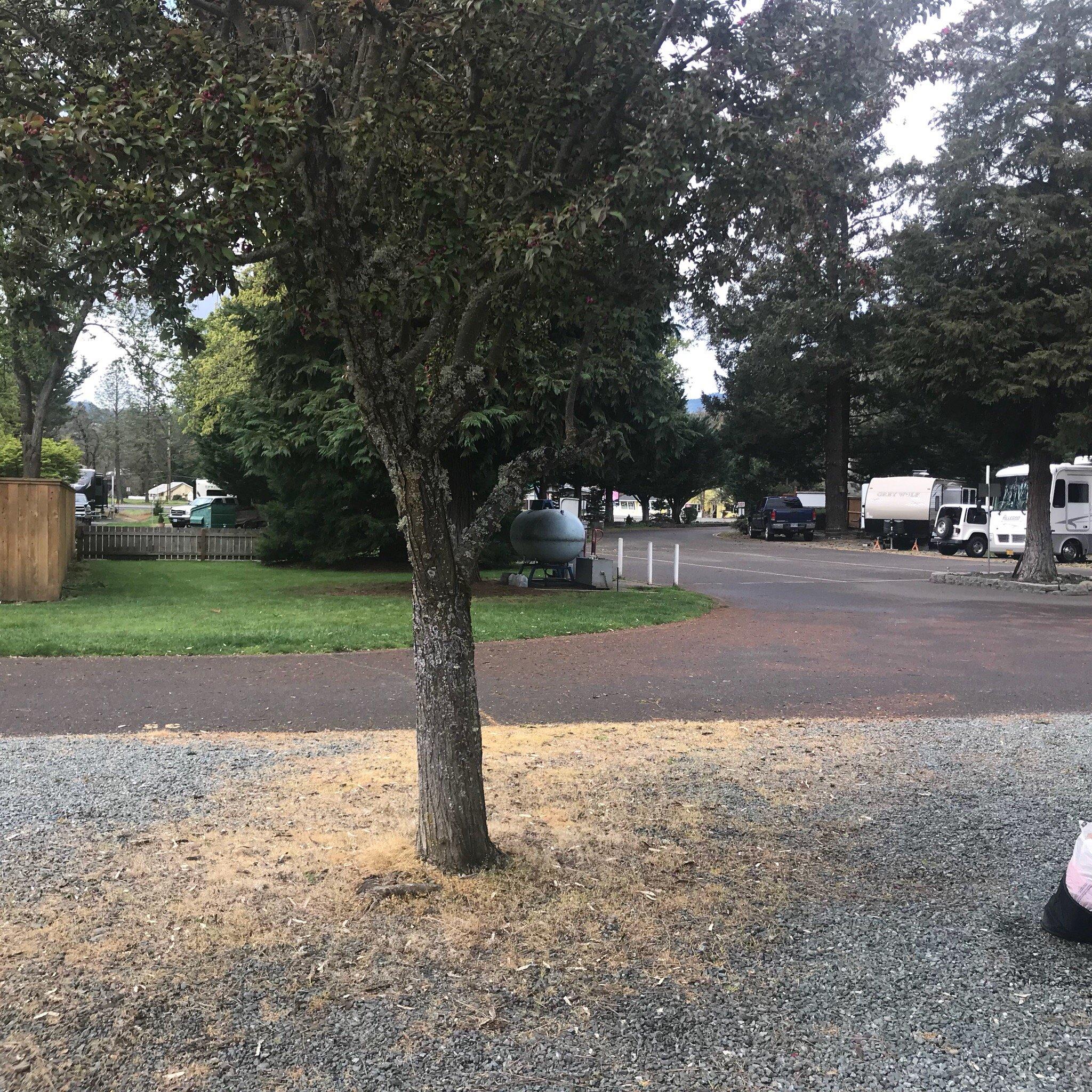 Photo by Charmedeebob