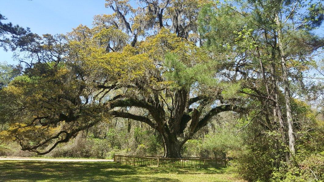 Photo by femmechaude