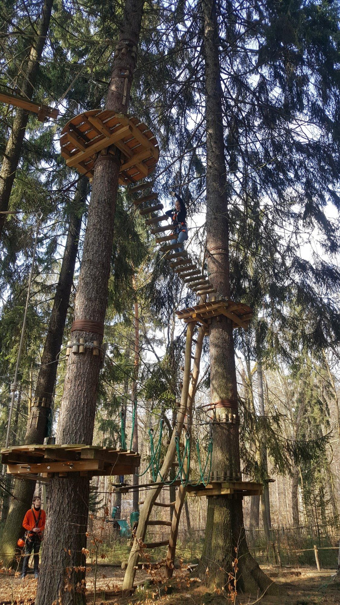 Kletterwald Dresdner Heide