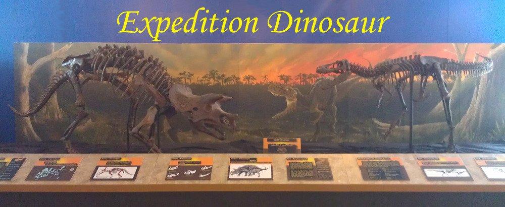 Palm Beach Museum of Natural History Inc