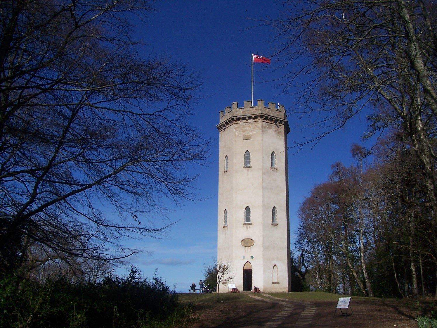 The Nelson Tower