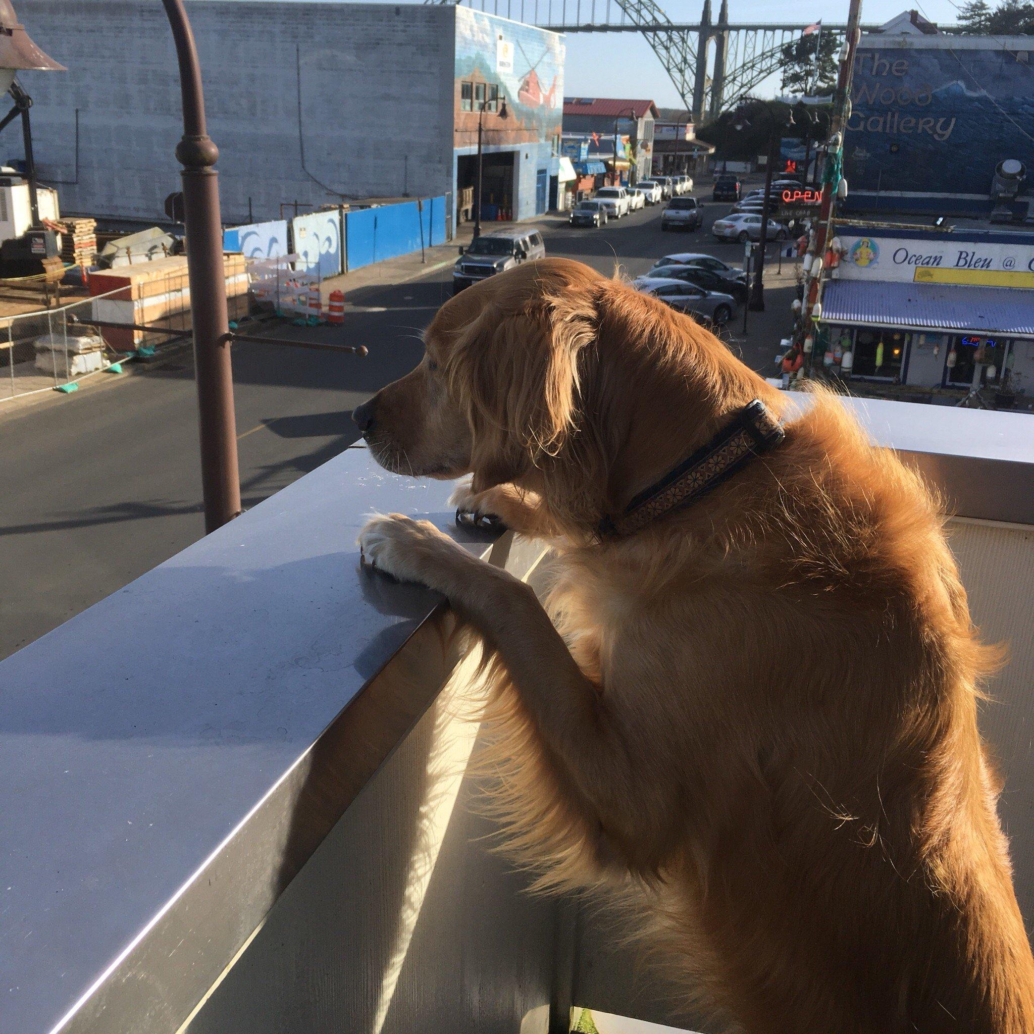 Photo by 50shadesoforange