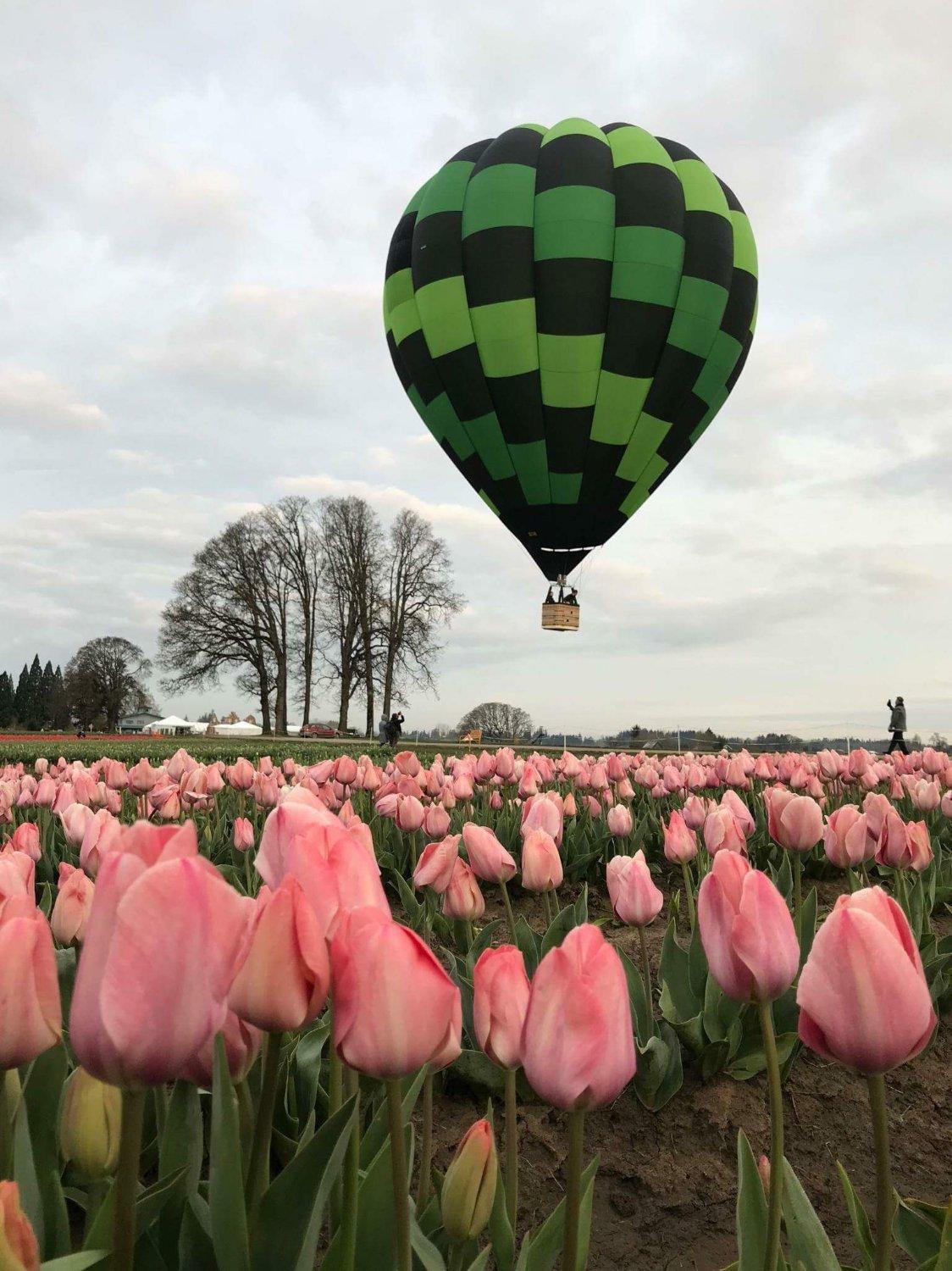 Willamette Valley Balloons