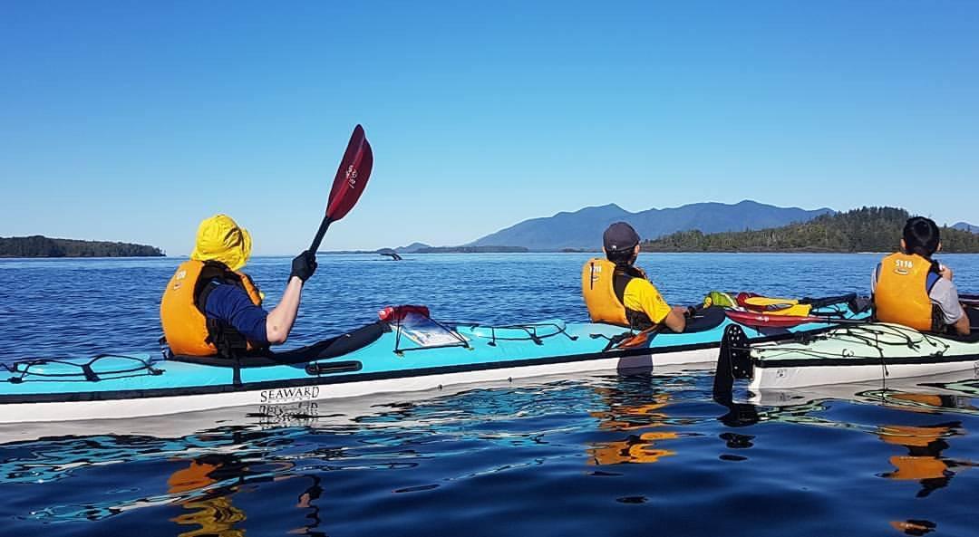 A Paddle in the Park