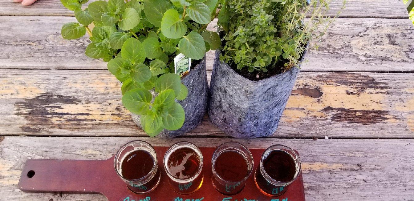 Jackrabbit Brewing Company
