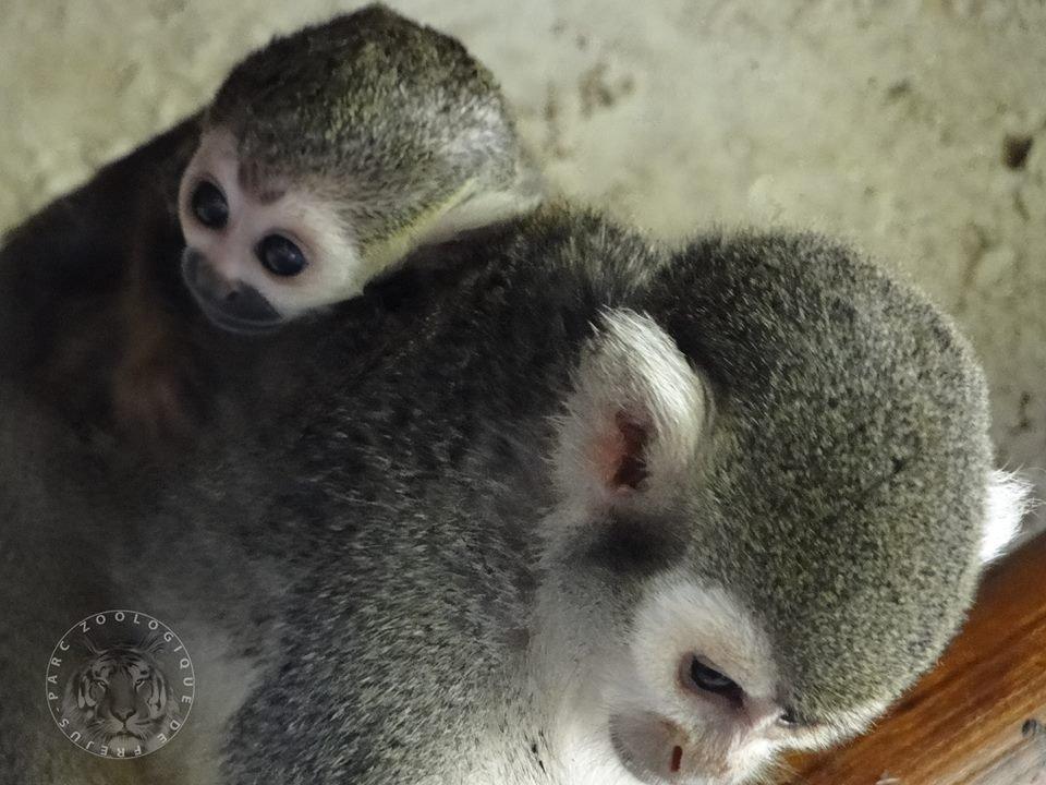 Parc Zoologique de Frejus