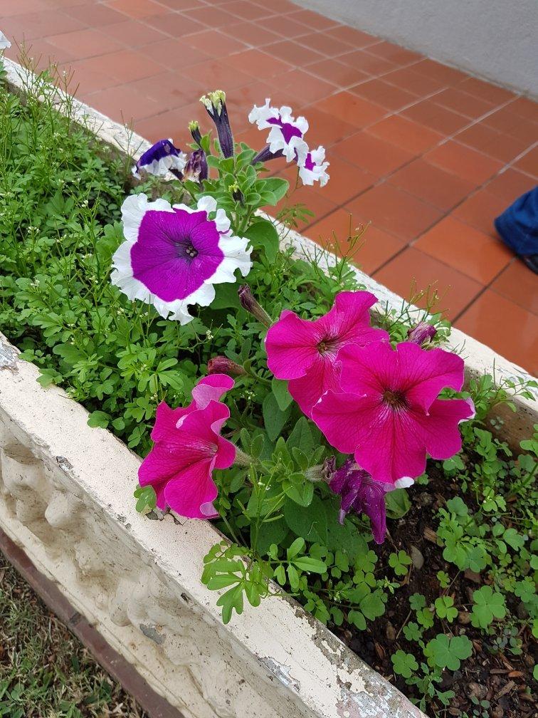 Zinzanathi Guesthouse