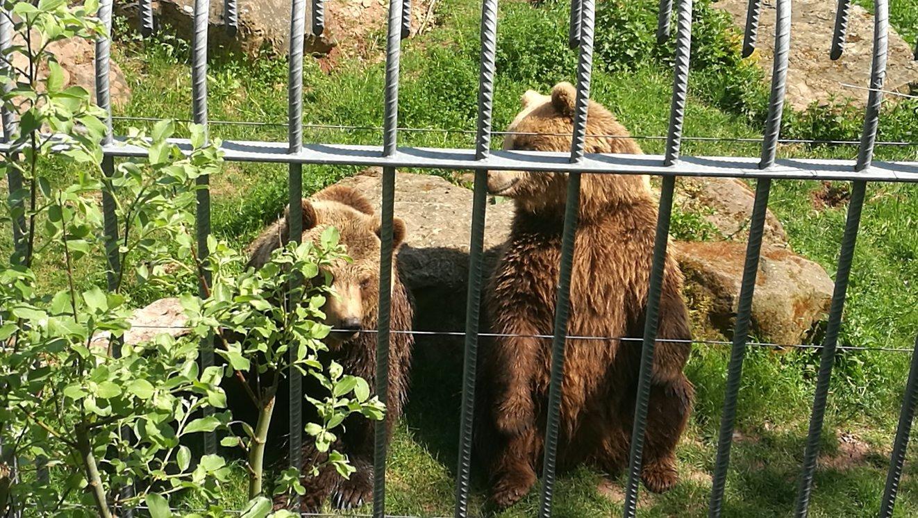 Wildparadies Tripsdrill