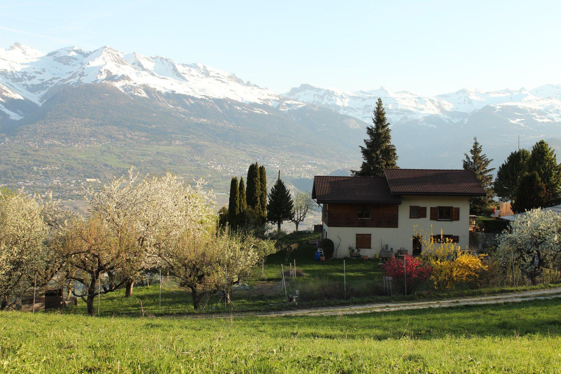 Domaine Bellevie BnB
