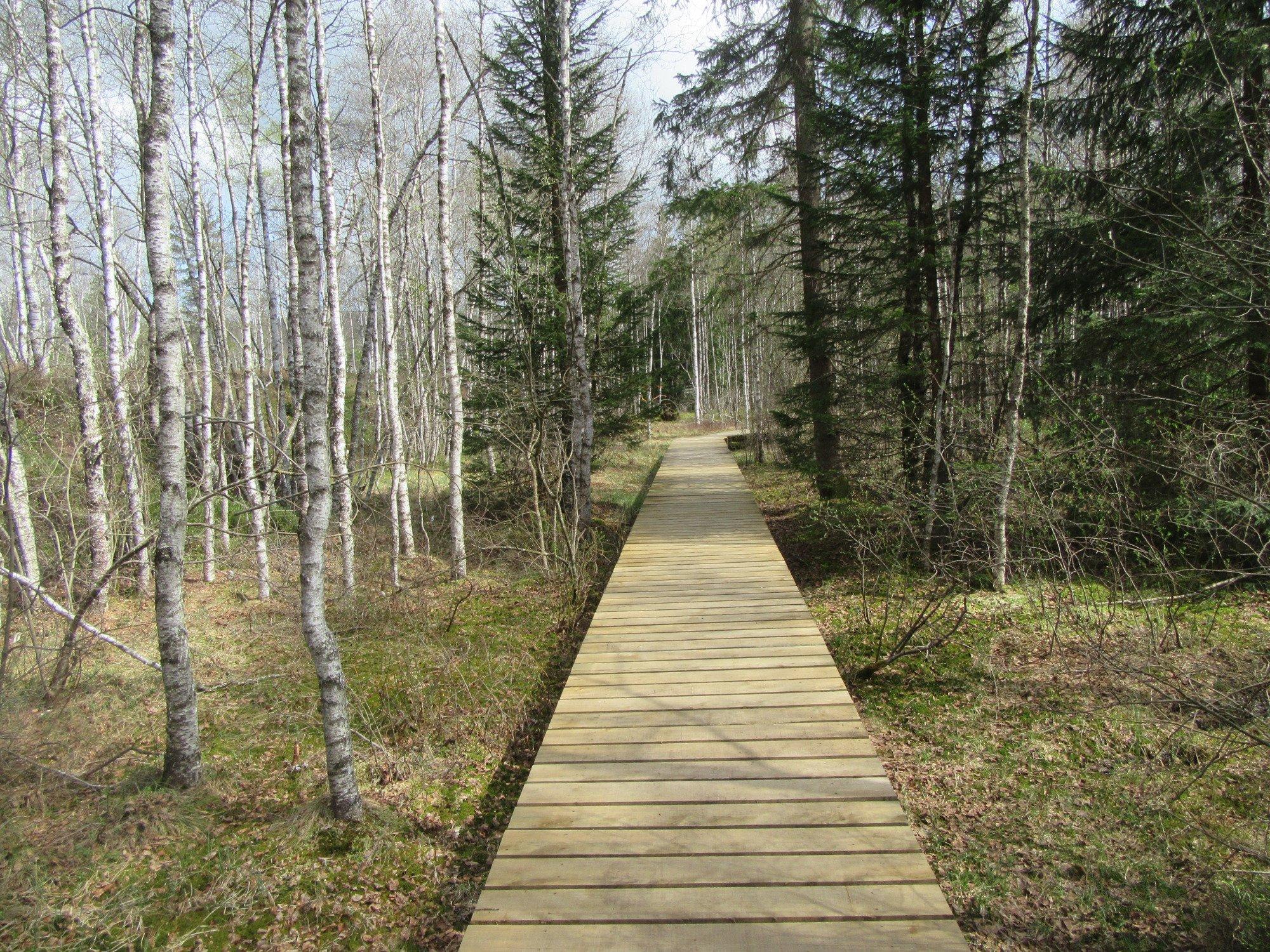 The educational Peat Route