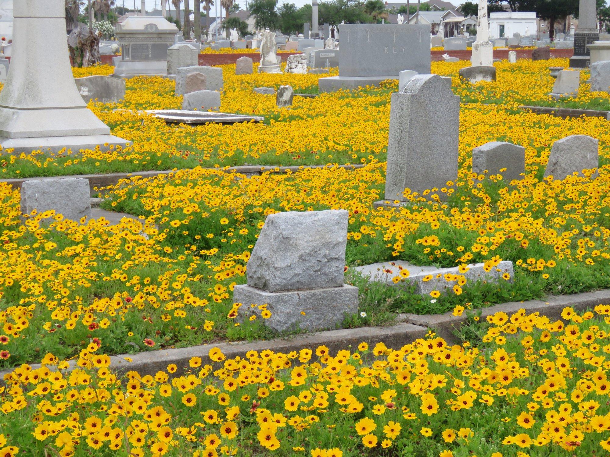 Old City Cemetery