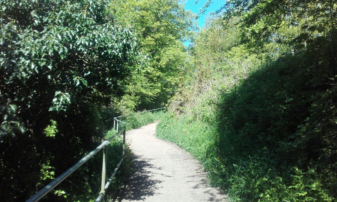 Crackley Wood Nature Reserve
