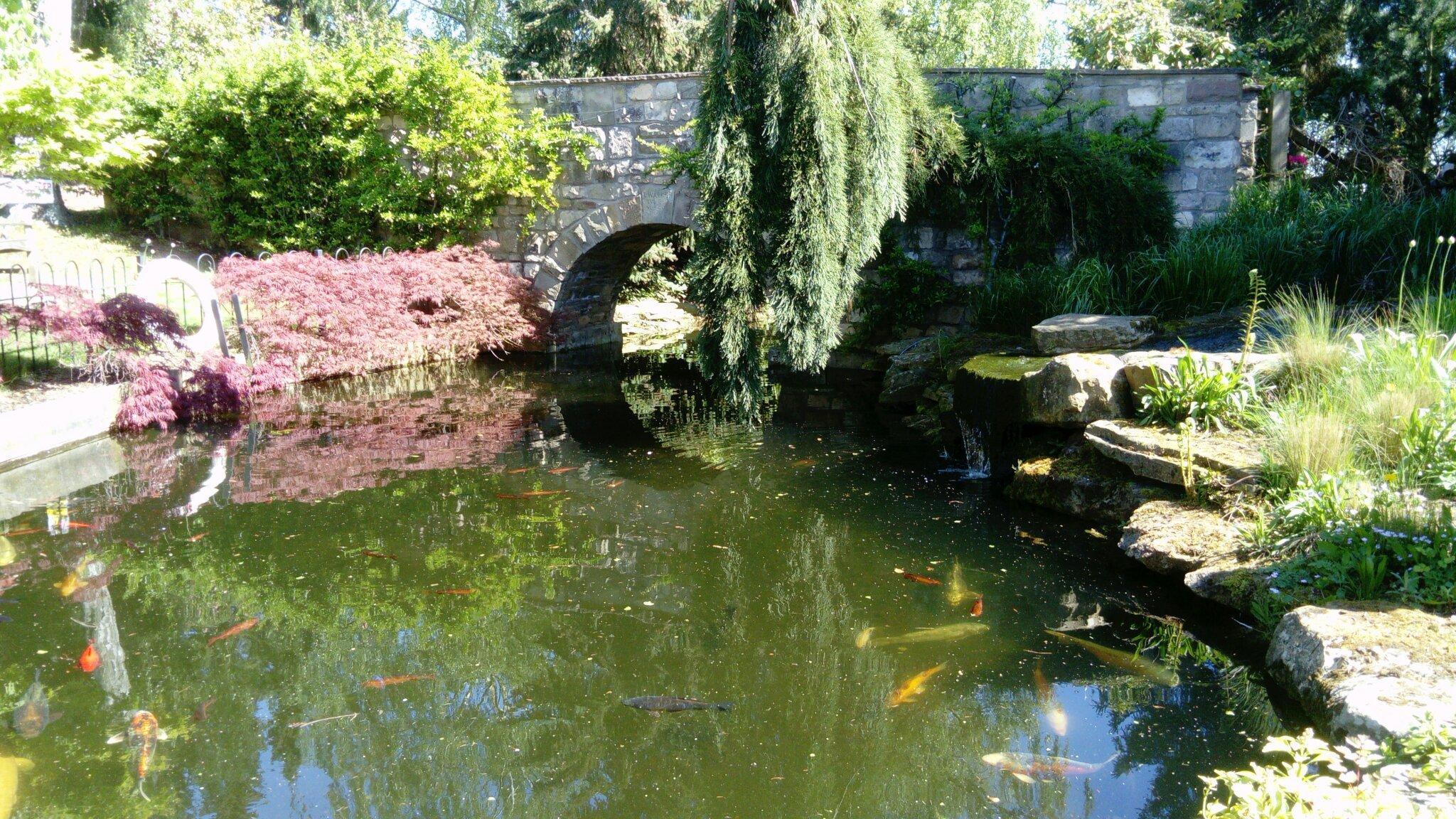 Walker's Nurseries and Garden Centre