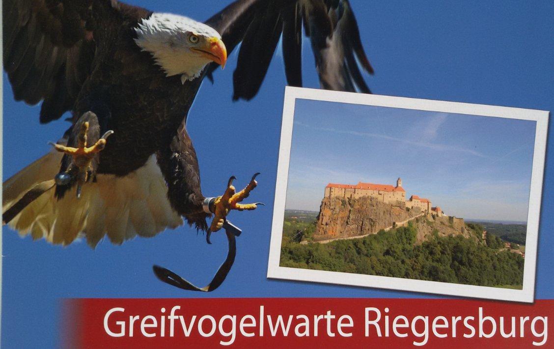 Greifvogelwarte Riegersburg