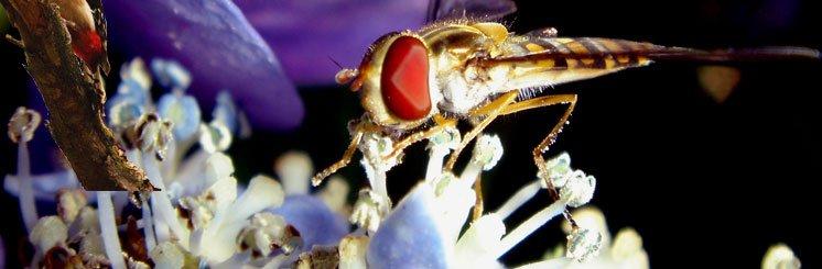 Natuurcentrum De Specht