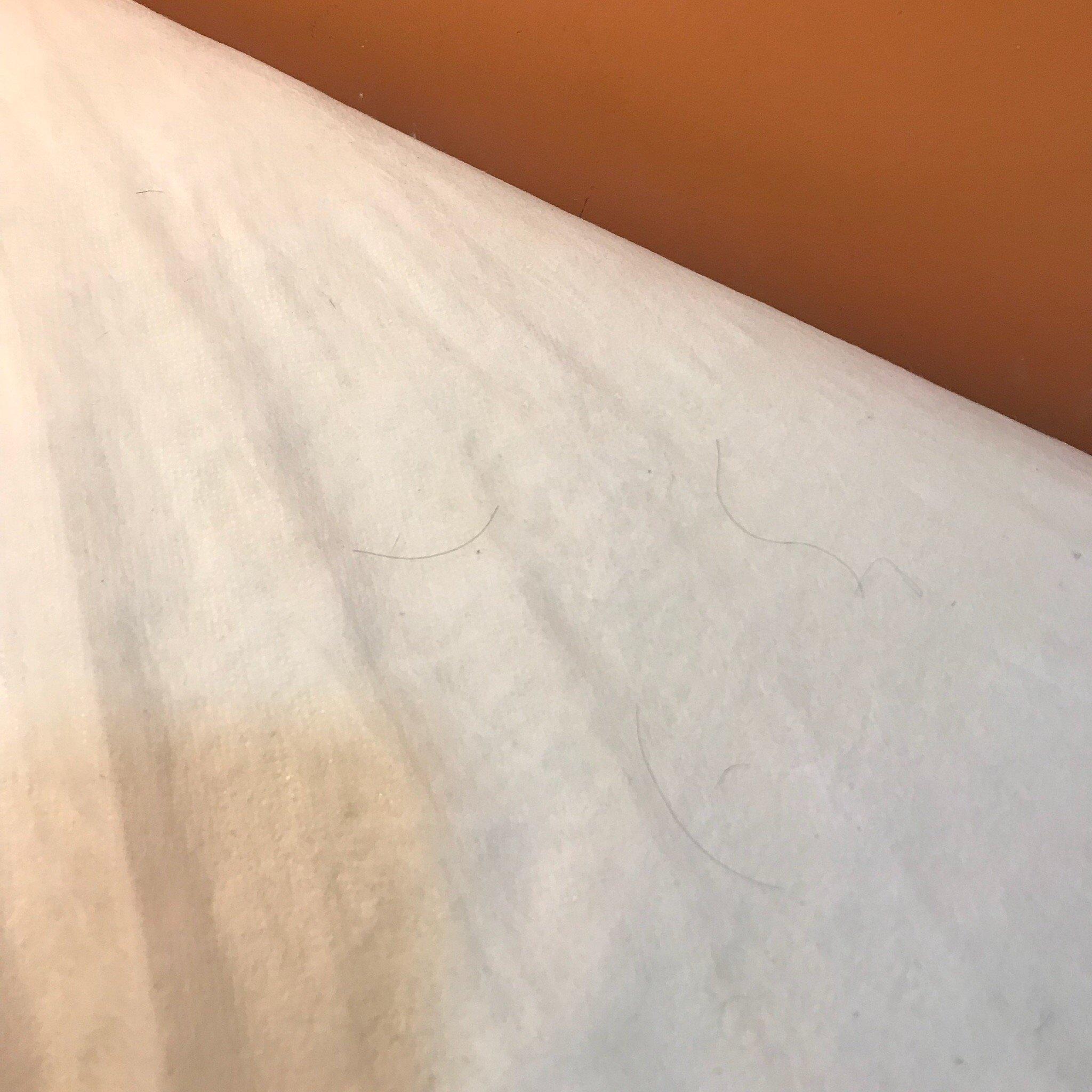 Ziba Nail and Beauty