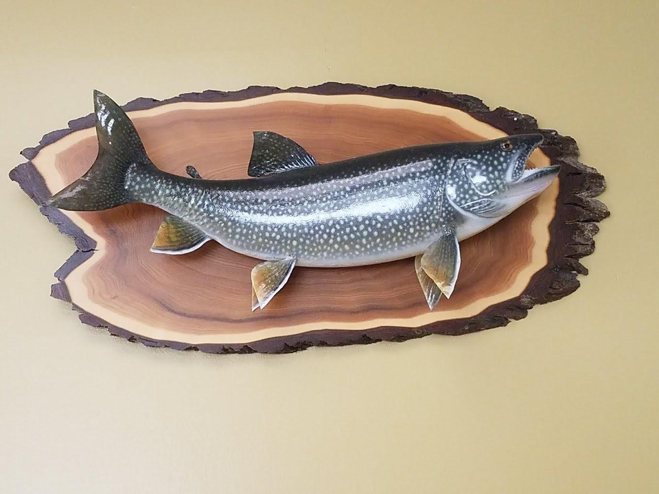 Photo by BluegooseTraveler