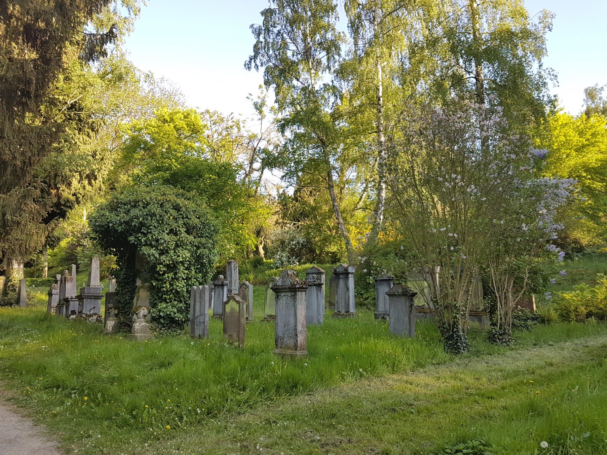 Alter Friedhof