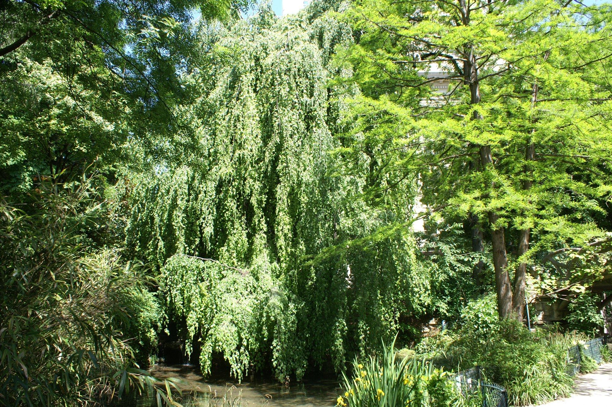 Jardin de la Nouvelle France