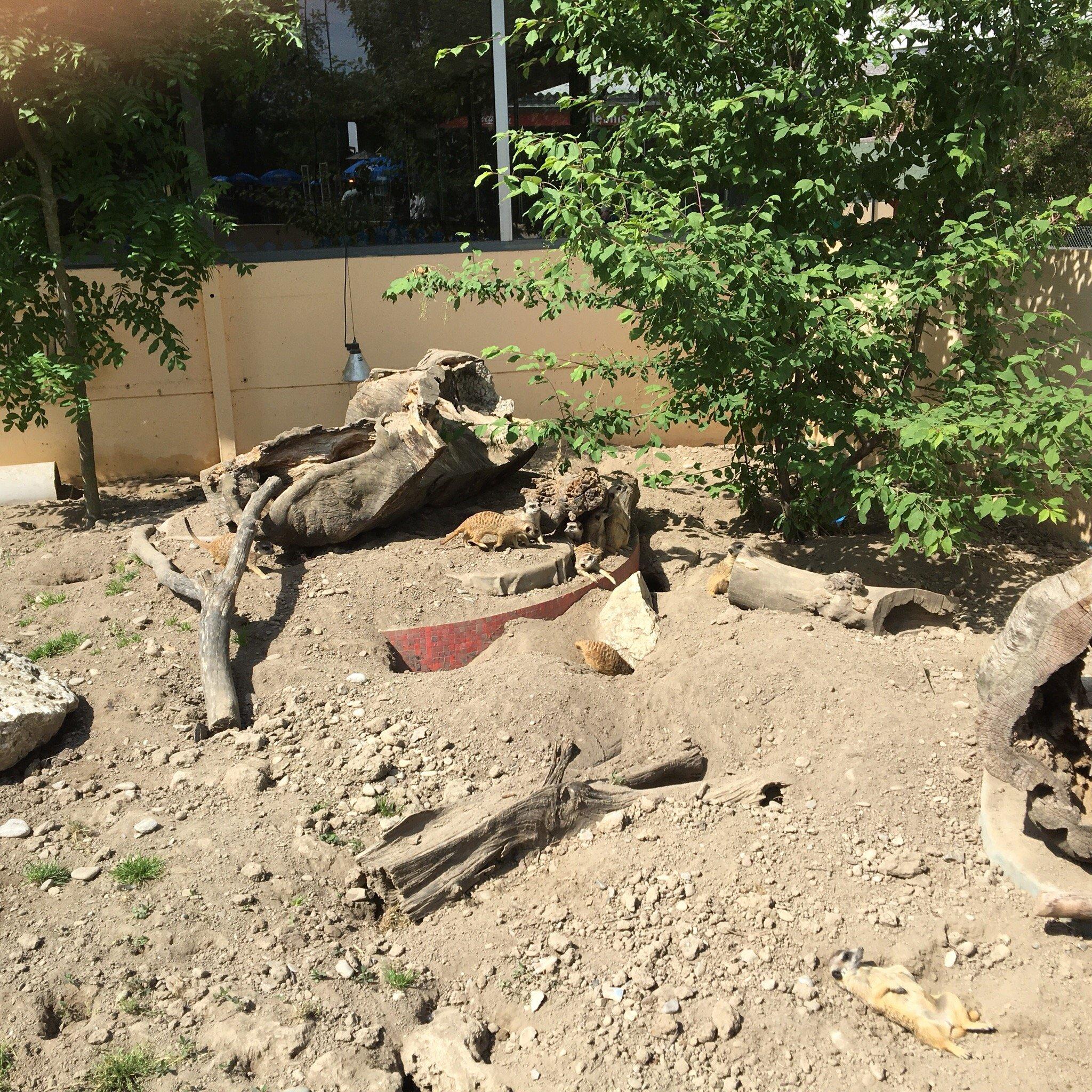 Erlebniswelt Seeteufel