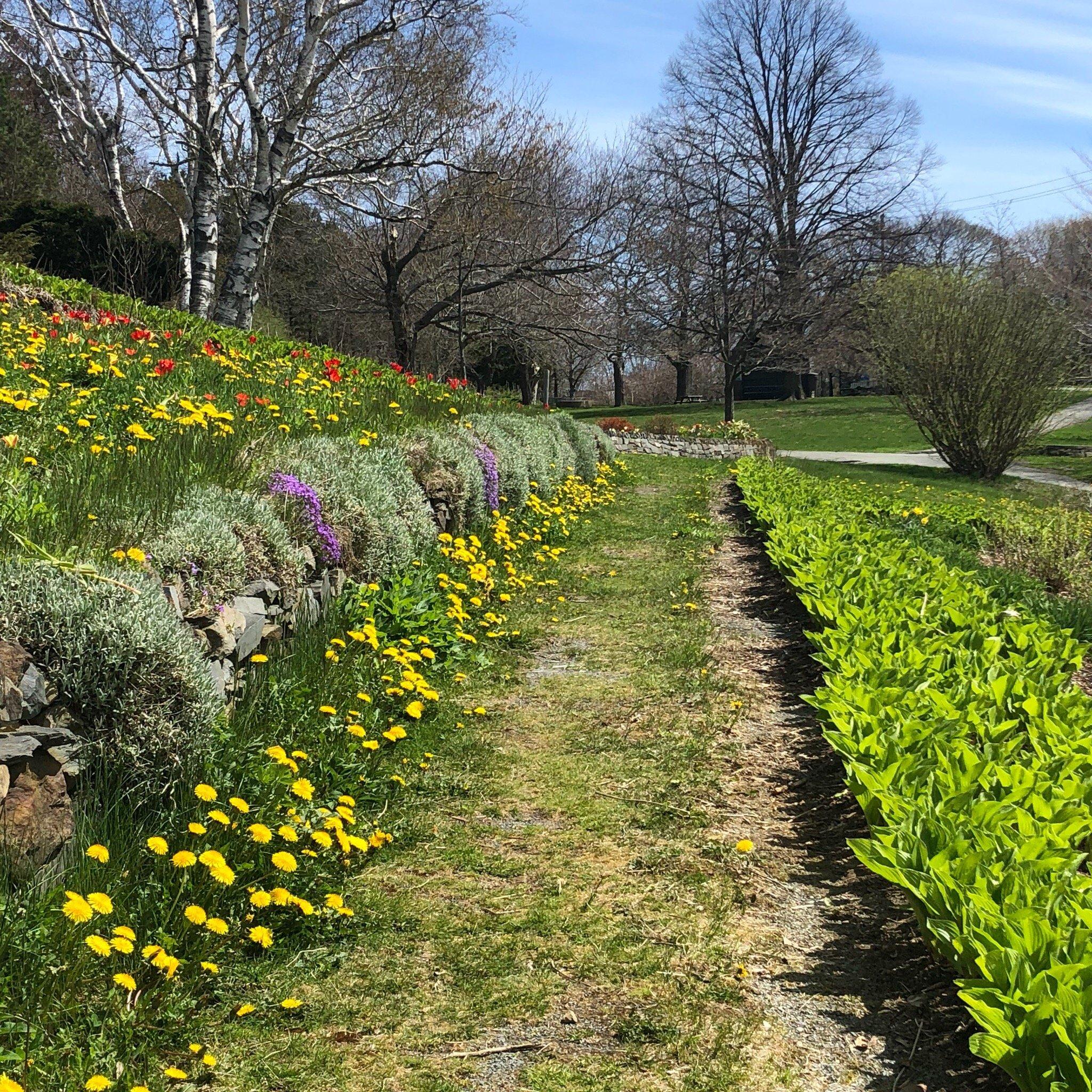 Leighton Dillman Park