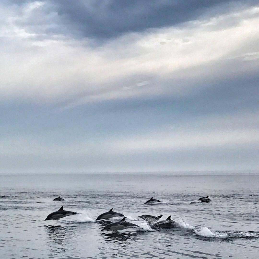 BlueWater Entertainment