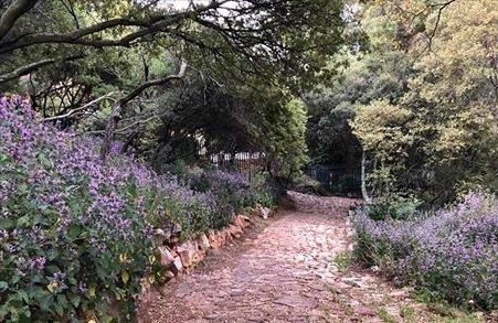 The Wilds Nature Reserve