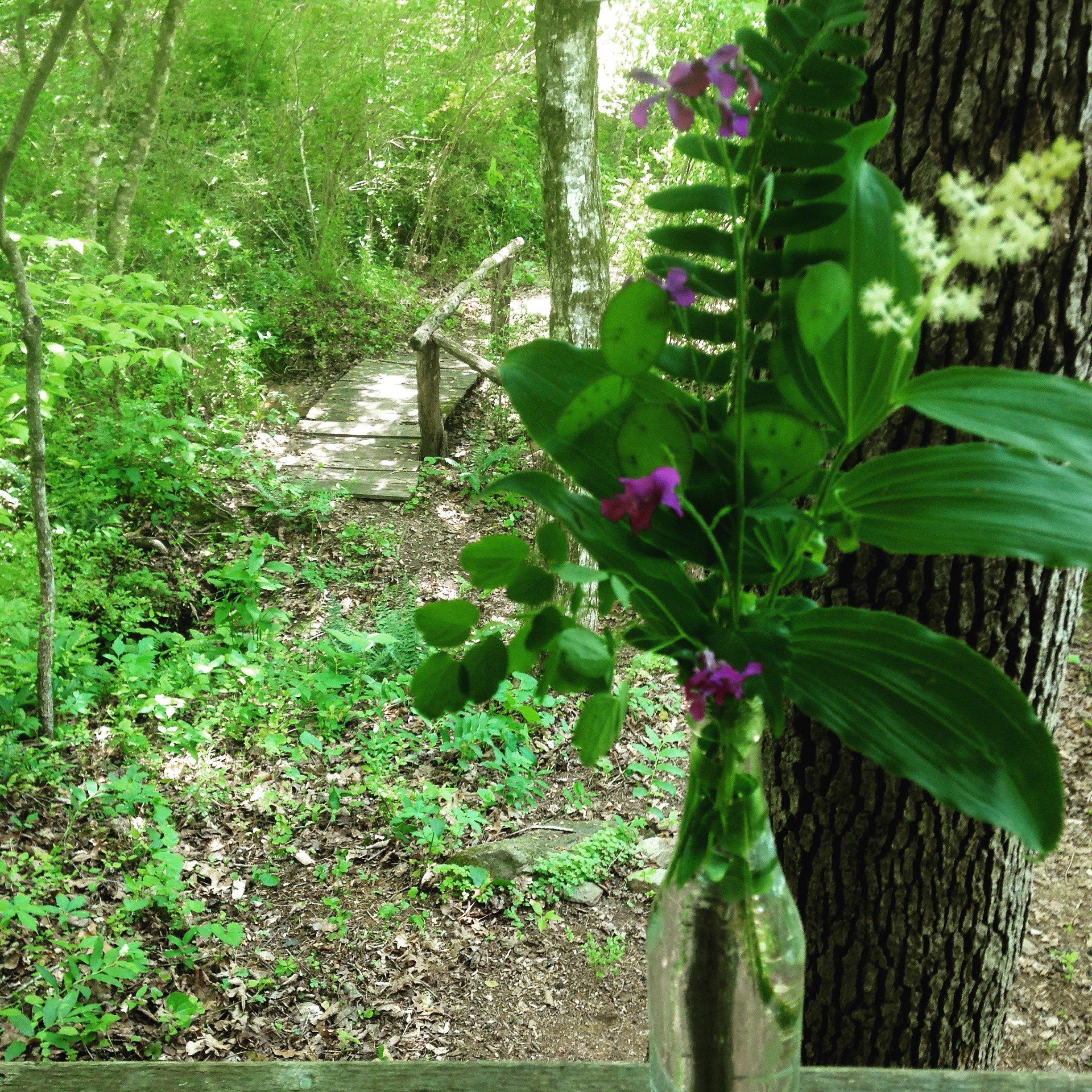 Nottely River Campground-Cabins-Tubing