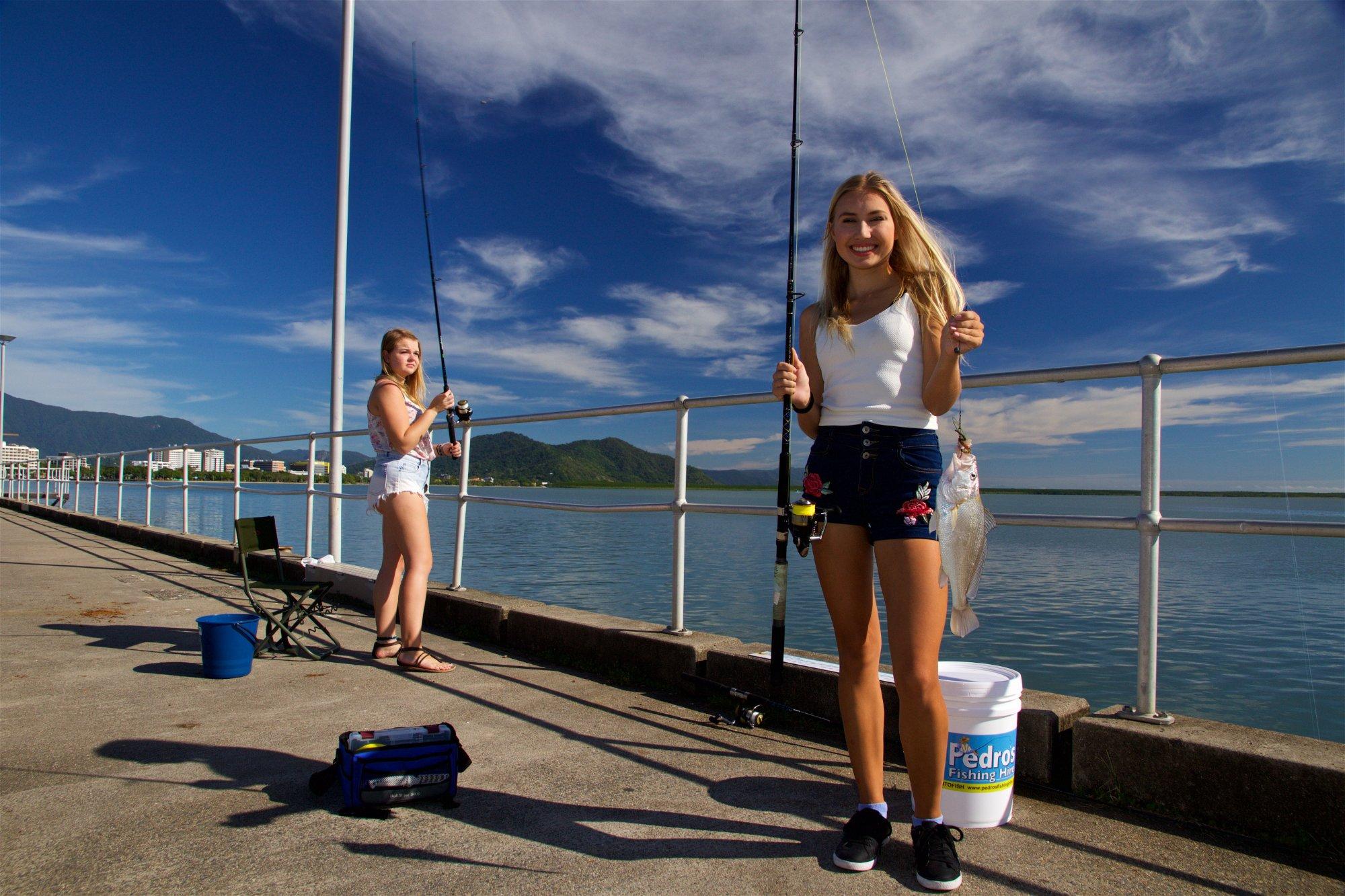 Pedro's Hire & Tours