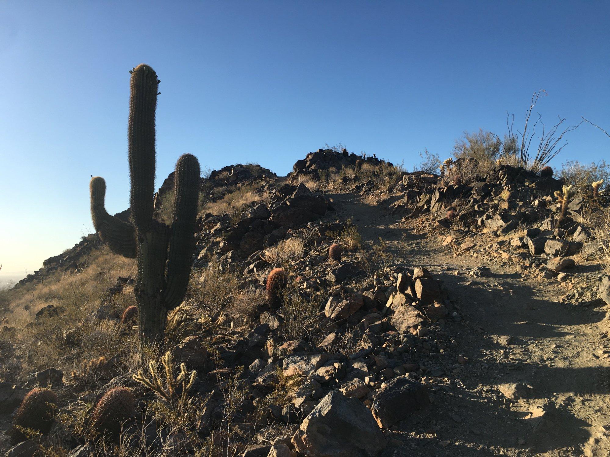 Skyline Regional Park
