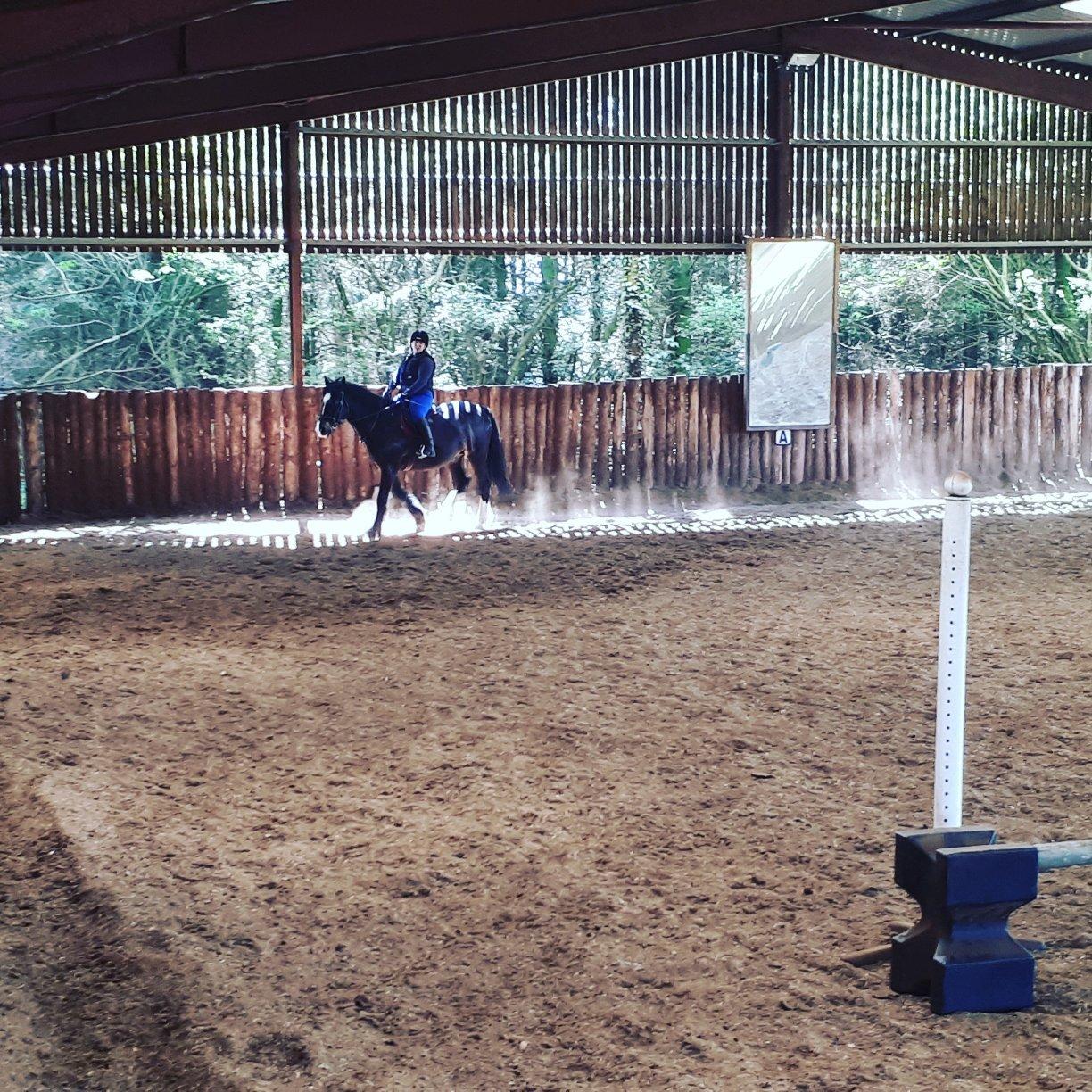 Friar's Hill Riding Stables