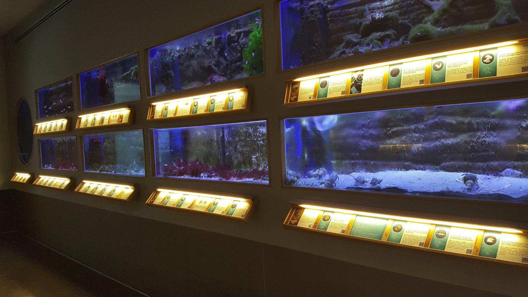 Nordseeaquarium Borkum