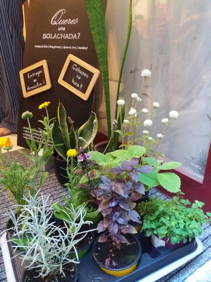 Queres uma Bolachada?