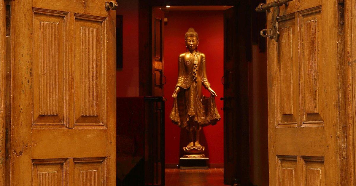 Arbre À Sens Spa Paris