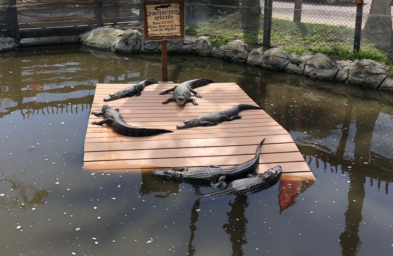 Photo by elizabethk977