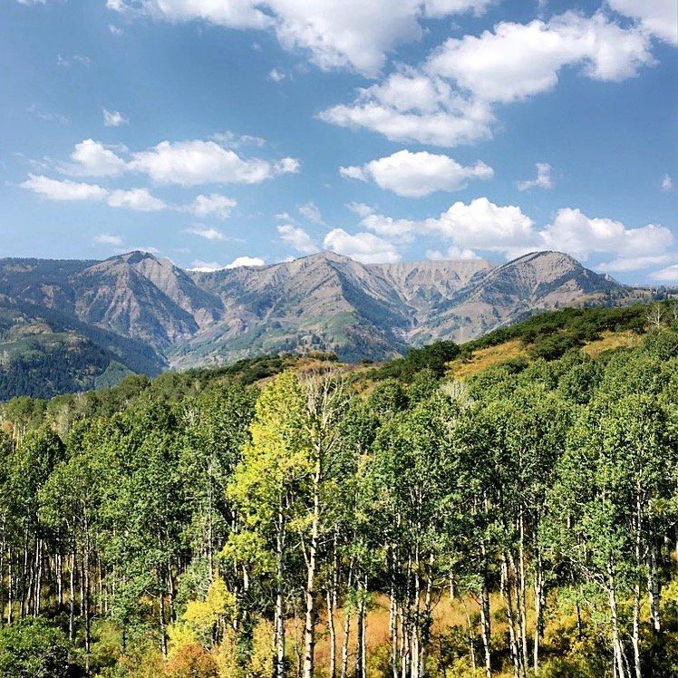 Avalanche Outfitters