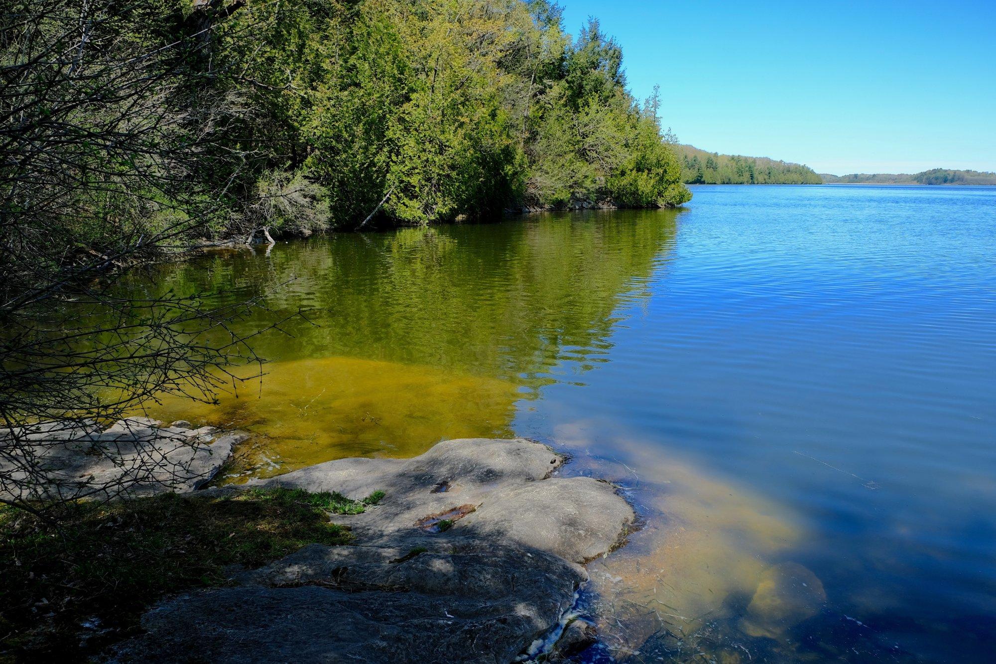 Shelburne Pond