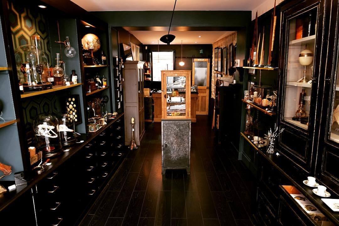 Curiositas - Cabinet des Curiosites