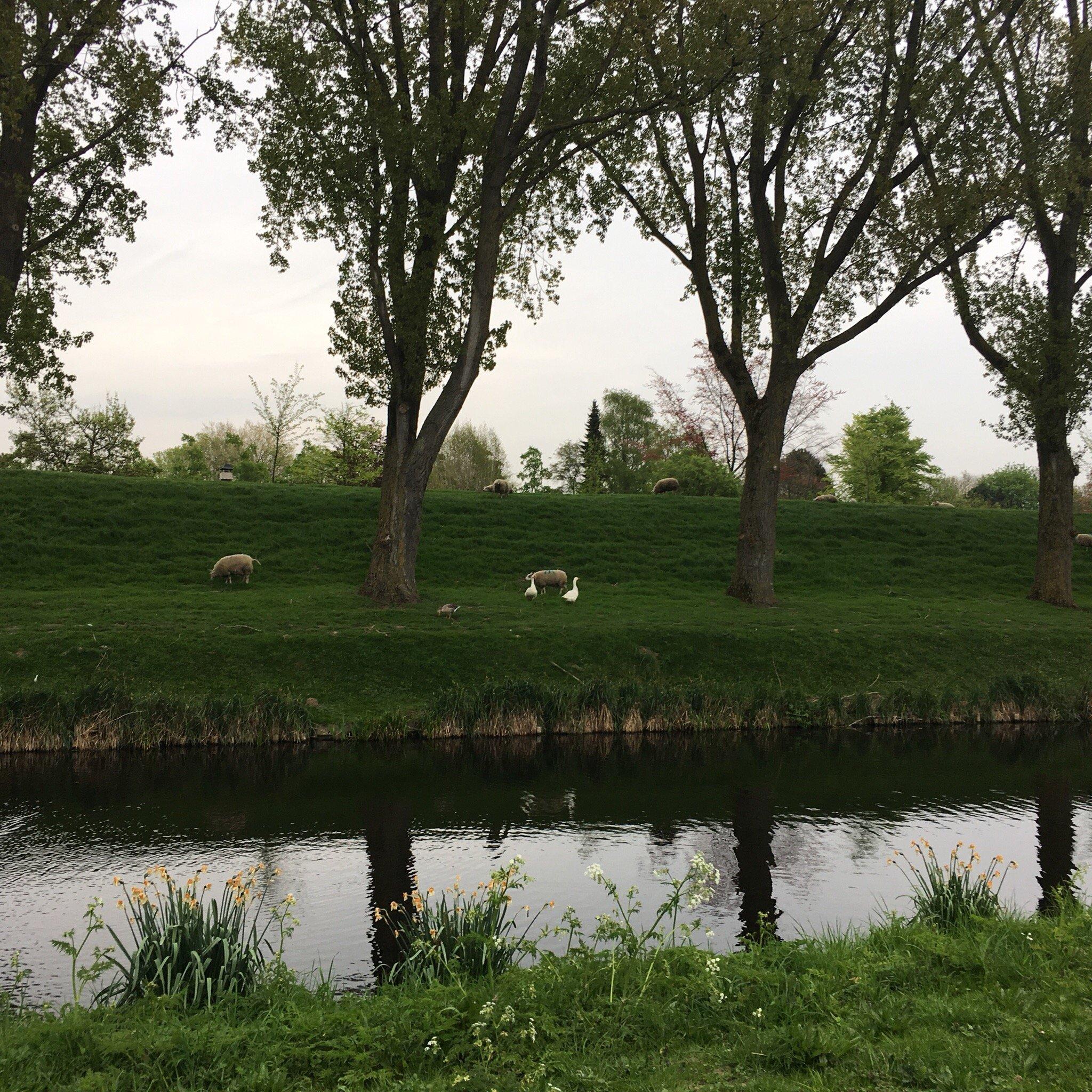 Bed & Breakfast de Mari