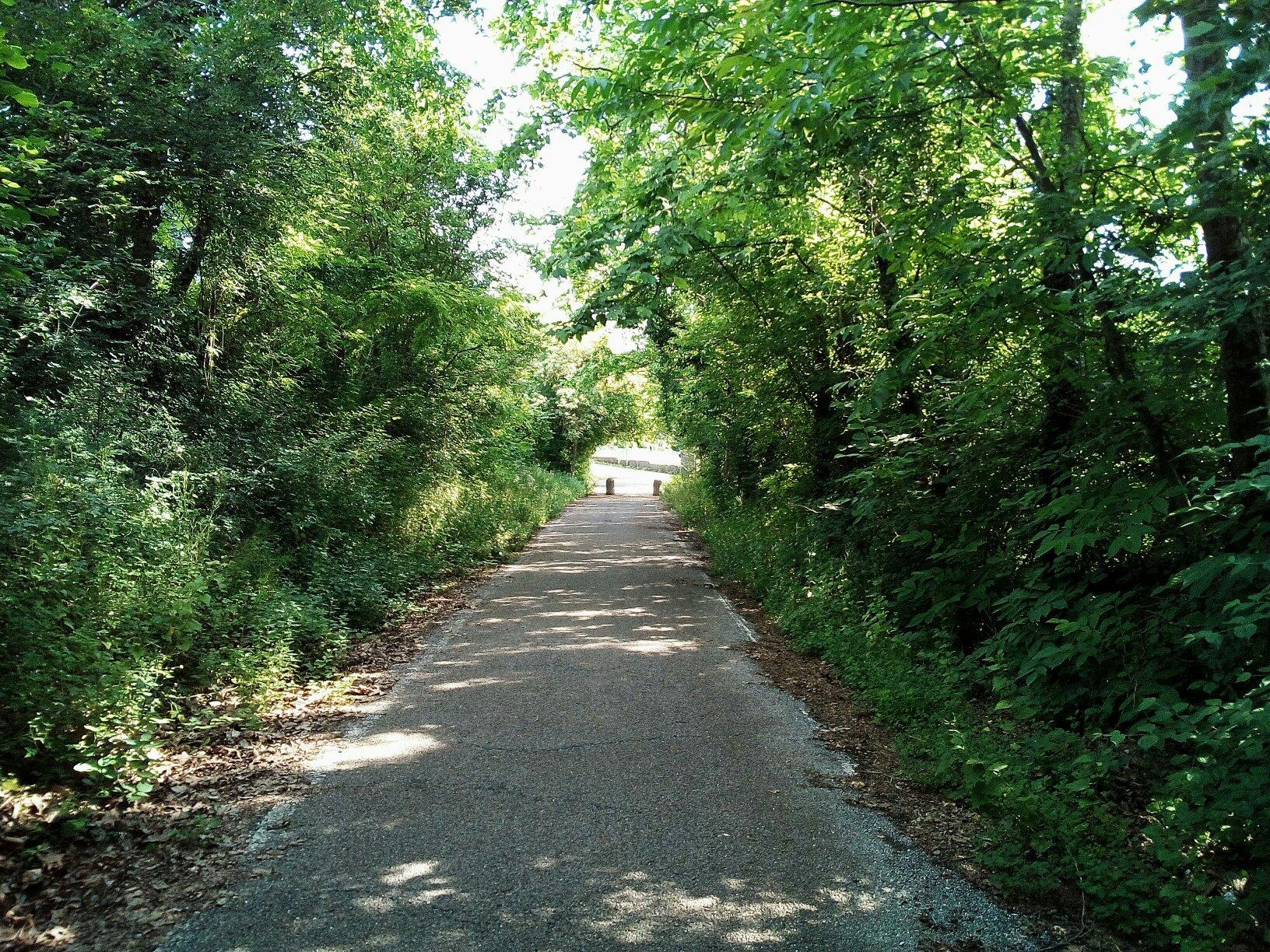 FVG-3 Ciclovia Pedemontana e del Collio