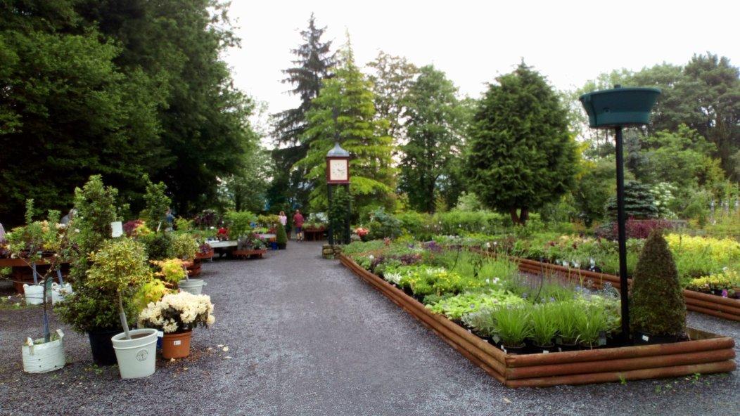 Glyndwr Plants Coffee Shop