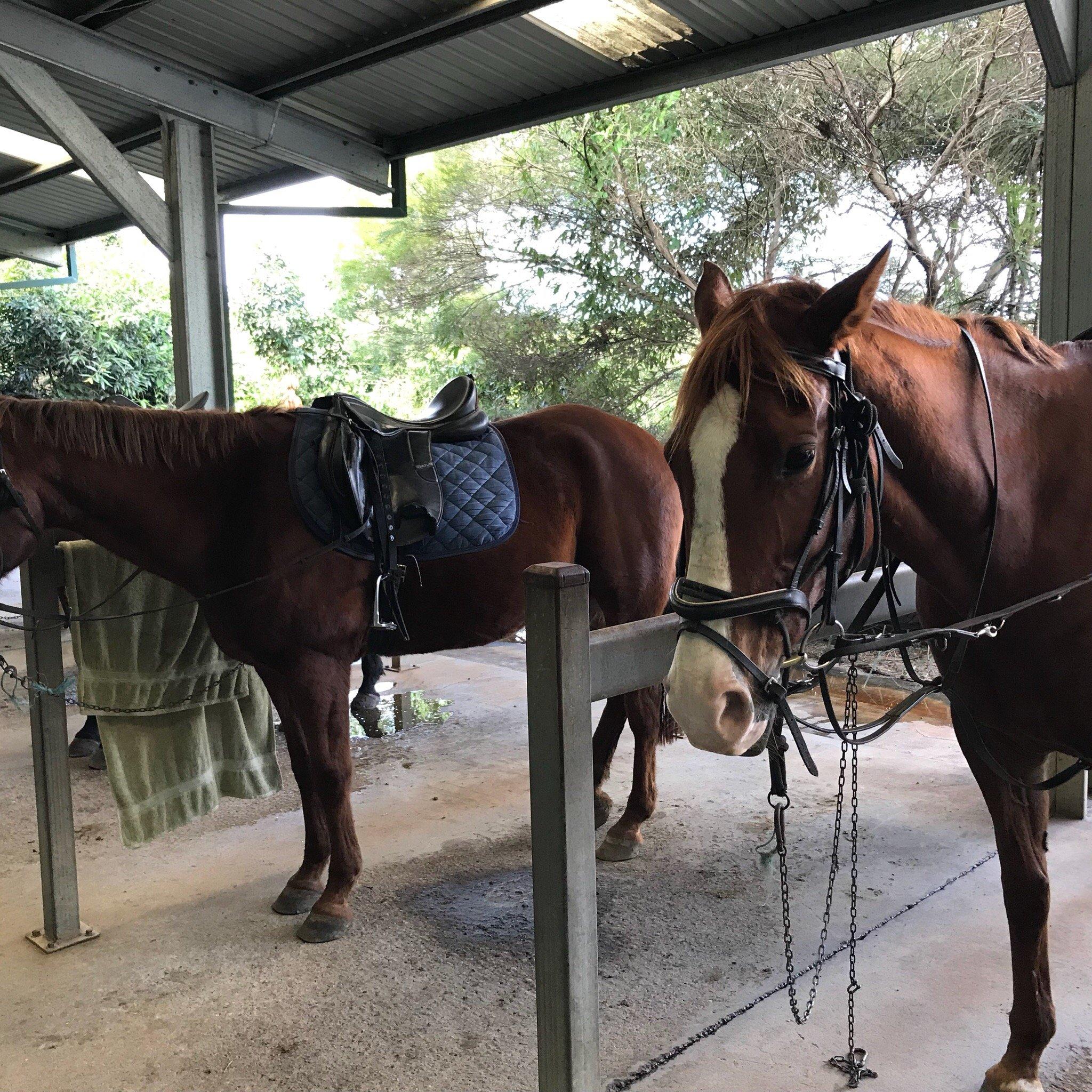 Photo by reviews6169