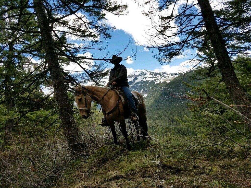 Leigh Creek Outfitters