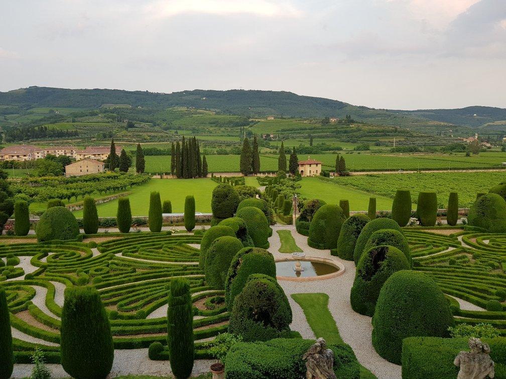 Villa Allegri, Arvedi