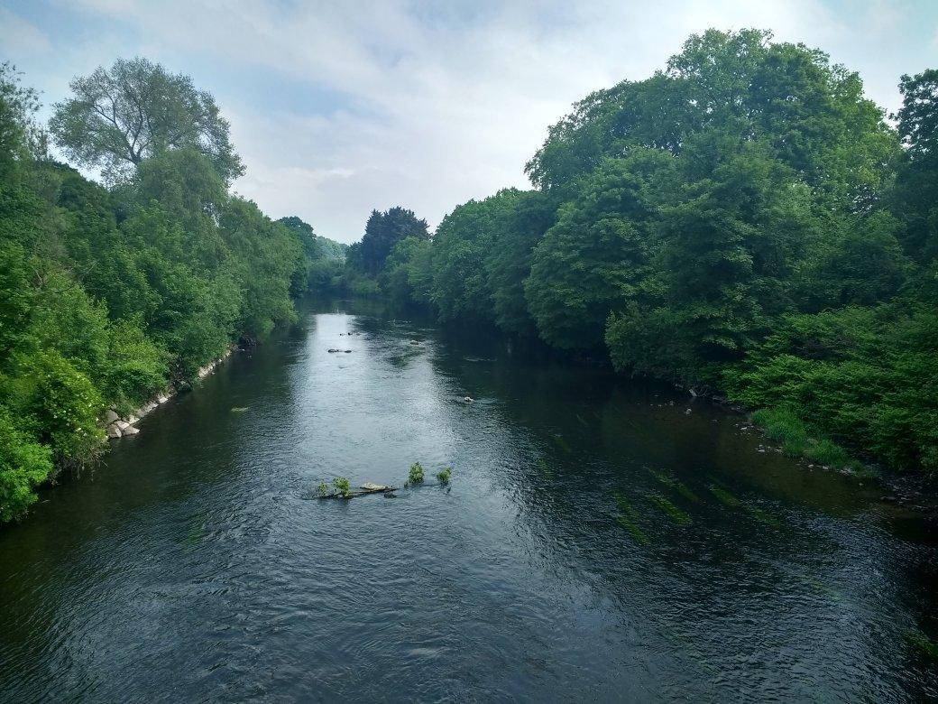 Forest Farm Country Park