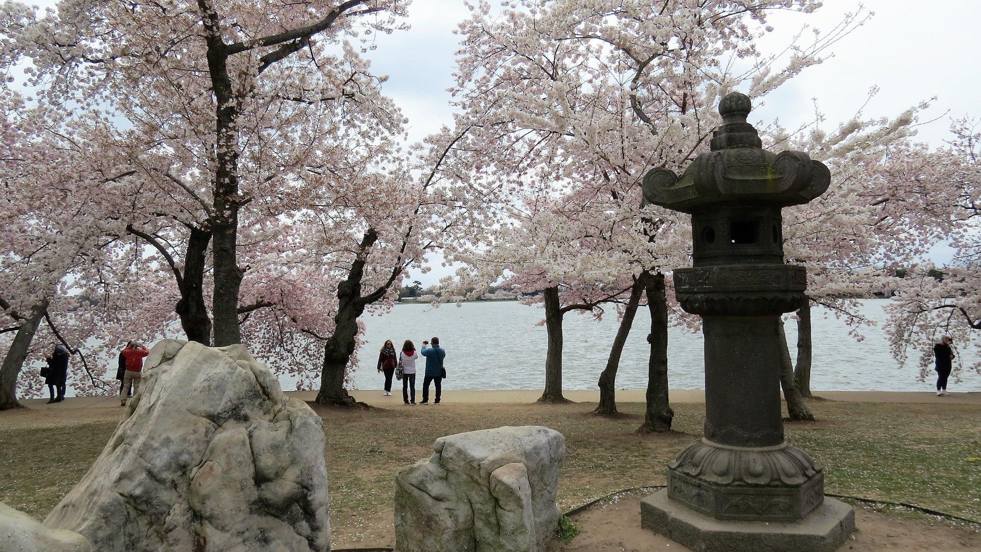 Photo by Michel_Louise_2013