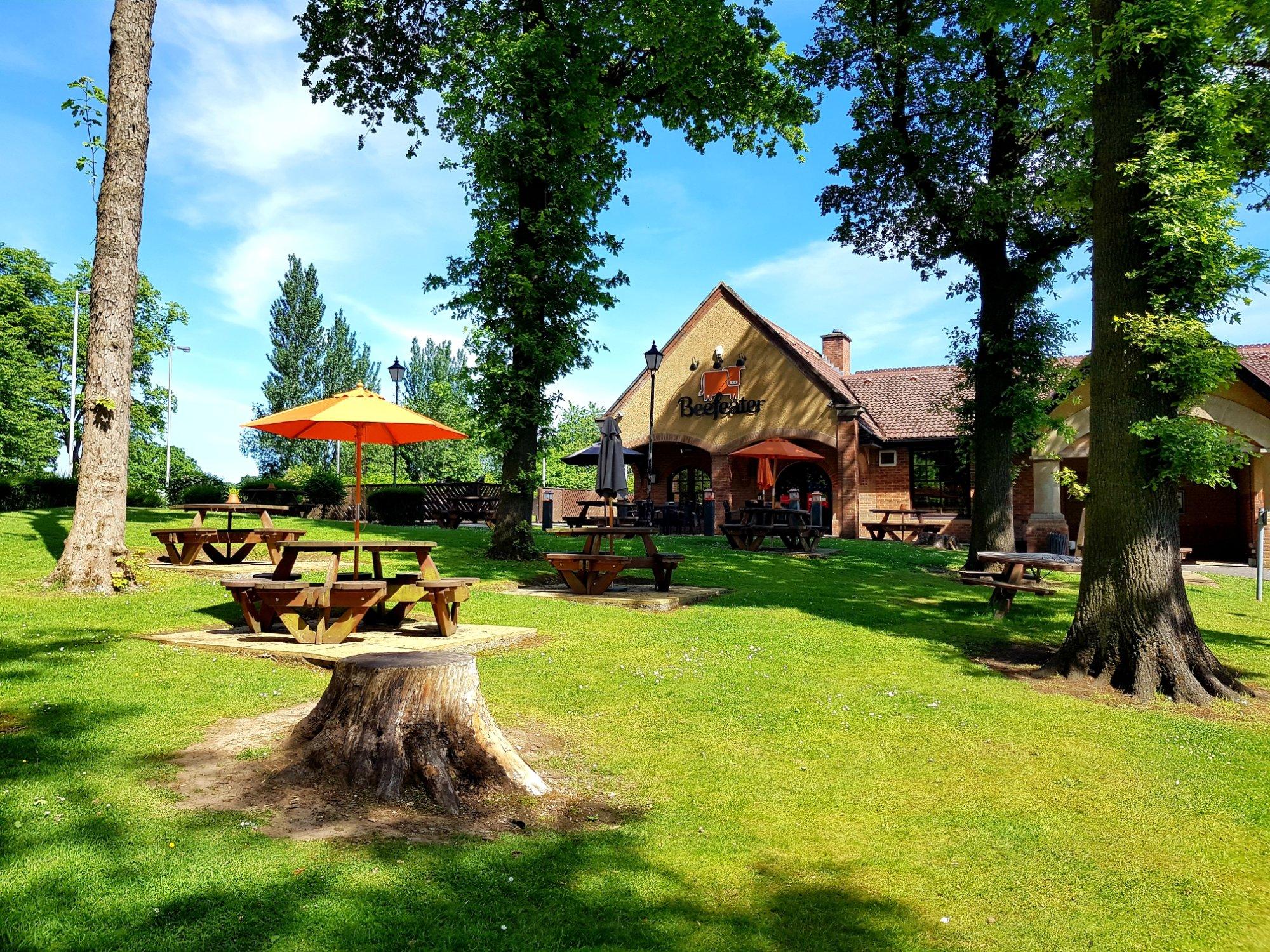 Black Bear Beefeater