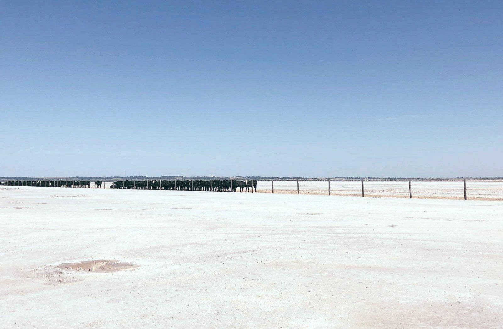 Salt Plains National Wildlife Refuge