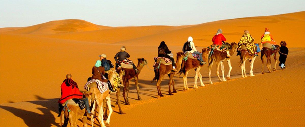 Sahara Camel Tours