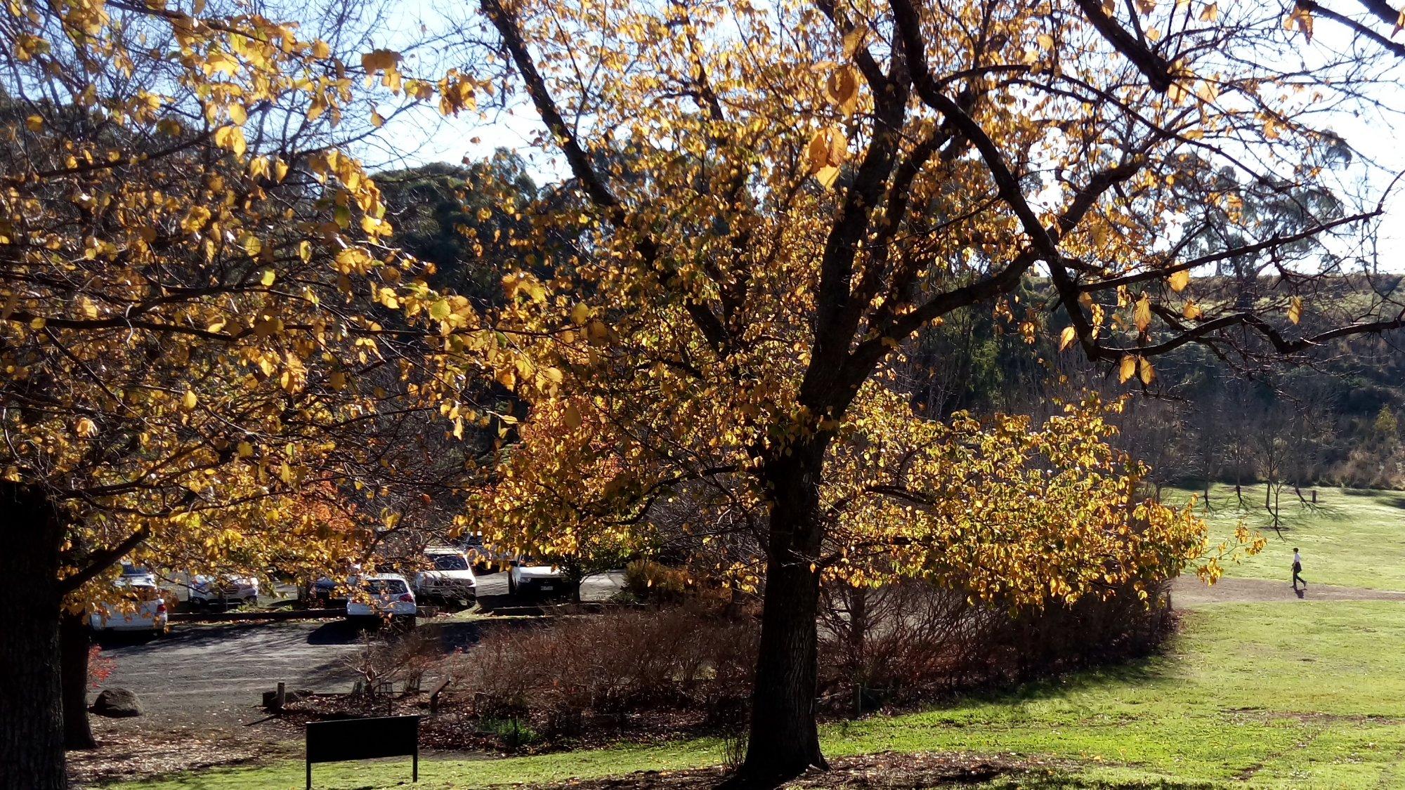 Hawkstowe Picnic Area